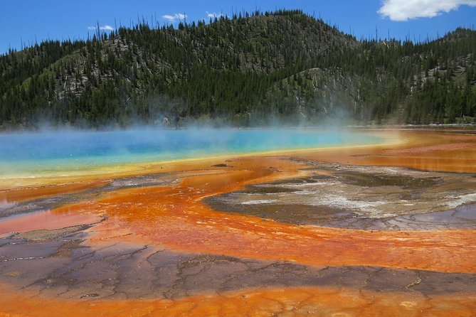 Yellowstone National Park - Full-Day Lower Loop Tour From West Yellowstone - Cancellation Policy and Additional Information