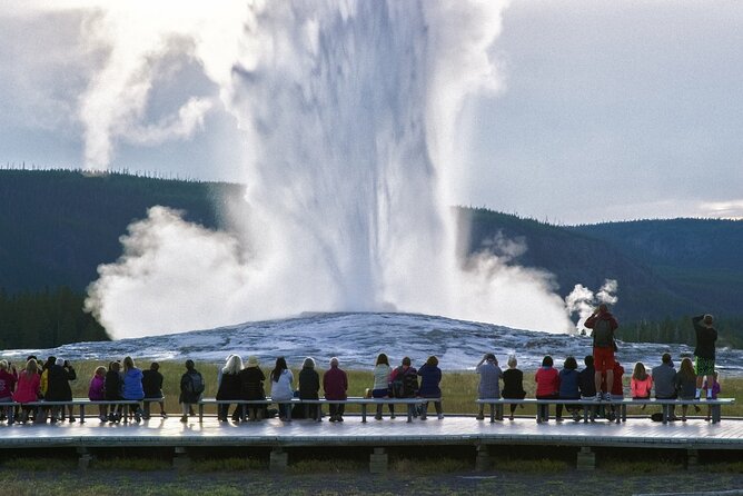 Yellowstone National Park Tour From Jackson Hole - Recommended Tour Highlights