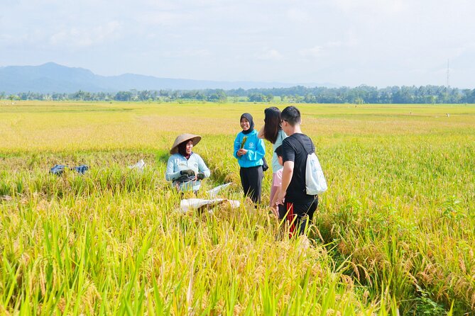 Yogyakarta Small-Group Countryside Cycle Tour With Snacks (Mar ) - Traveler Information and Reviews