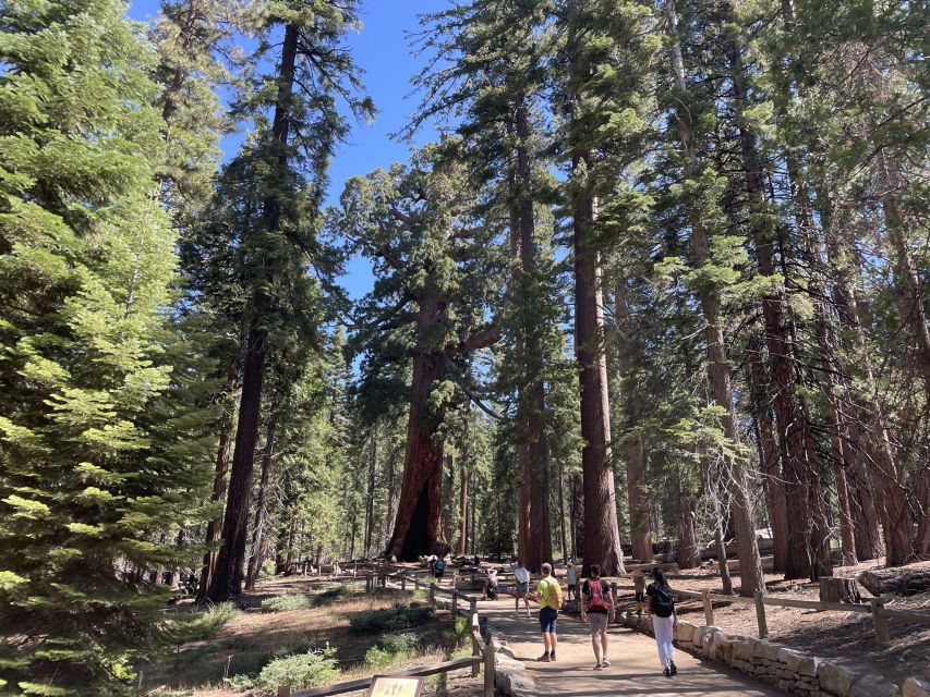 Yosemite, Giant Sequoias, Private Tour From San Francisco - Additional Information