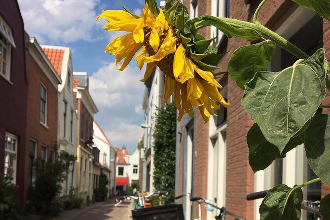 Your Own Holland. Haarlem, the Coastal Dunes and the North Sea - Sampling Local Cuisine and Delights