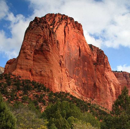 Zion National Park Day Trip From Las Vegas - Customer Reviews