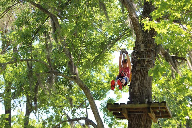 Zipline Adventure Through Tuscawilla Park - Customer Feedback and Ratings