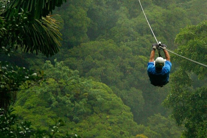 Zipline and Hanging Bridges Combo Tour in Monteverde Cloud Forest - Customer Feedback