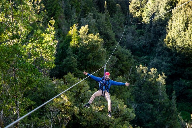 Ziplining Forest Experience - The Ultimate Canopy Tour Rotorua - Guest Experiences Shared