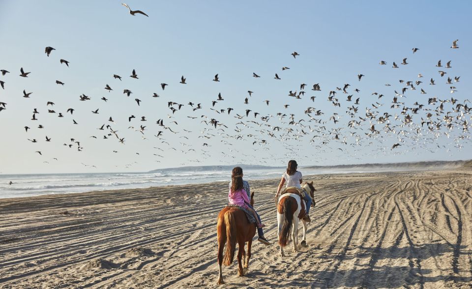 4x4 journey mantagua dunes wetlandhorseriding f valparaiso 4x4 Journey Mantagua Dunes &Wetland&HorseRiding F Valparaiso