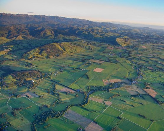 5 Hour Martinborough Shared Chefs Wine Tour With Gourmet Lunch - Key Points