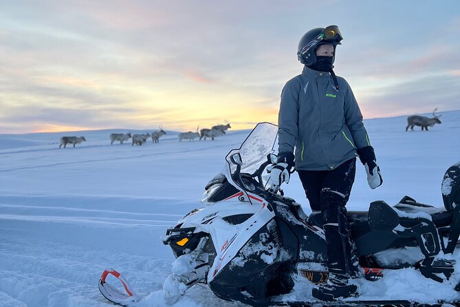 5-Hour Snowmobile Safari on the Arctic Tundra. Have Fun & Explore! - Key Points