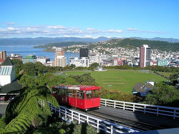5 Hour Wellington City Heights Shared Tour - Key Points
