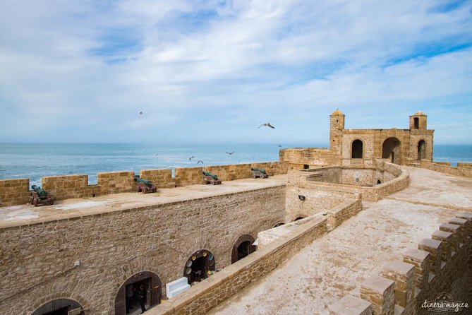 1 Day Excursion From Marrakech to Essaouira - Customer Reviews and Ratings
