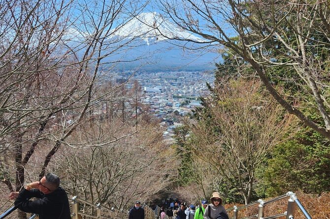 1 Day Private Tour of Hakone With English Driver - Scenic Spots in Hakone