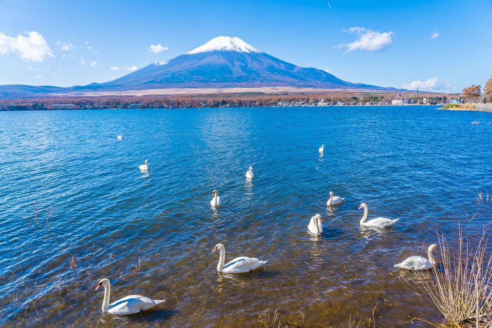 1-Day Trip: Mt Fuji Kawaguchi Lake Area - General Information