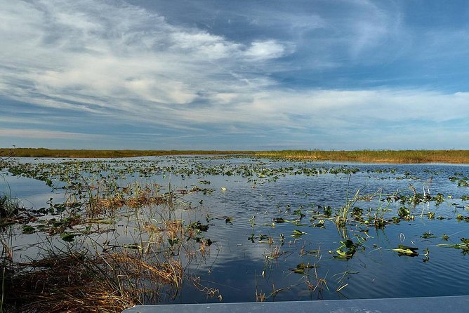 1-Hour Air Boat Ride and Nature Walk With Naturalist in Everglades National Park - Safety Measures and Precautions