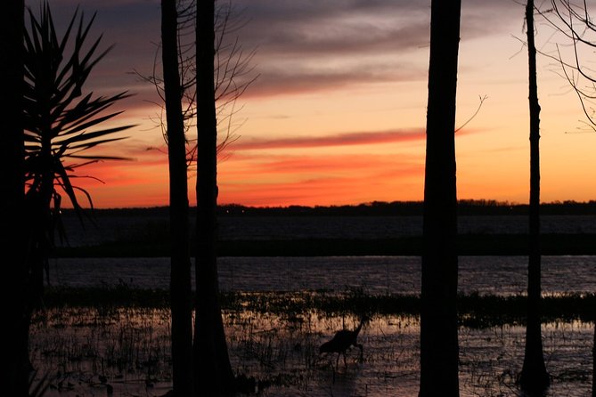 1-Hour Evening Airboat Ride - Common questions