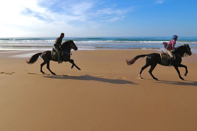 1 Hour Horse Ride on the Beach of Essaouira - Tour Location and Starting Point