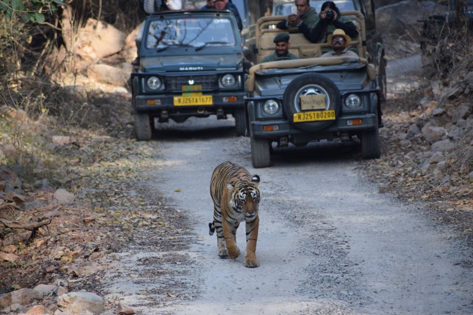 1 Night 2 Days Ranthambhore WildLife Tour From Jaipur - Location and Booking Information