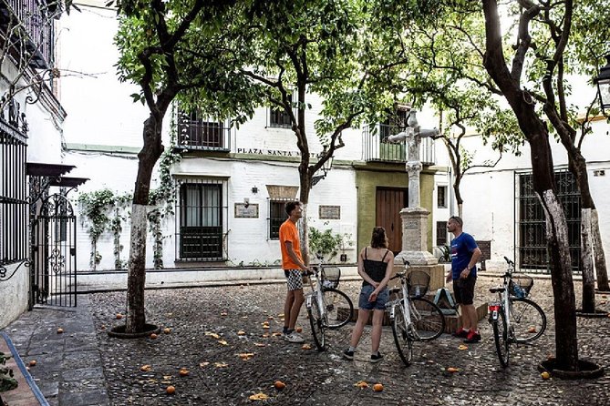 12 Oclock Guided Bike Tour Seville - Additional Information