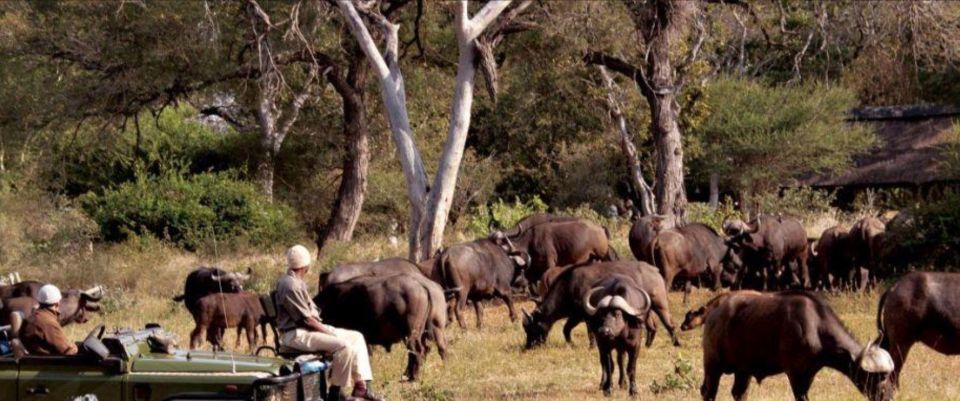 15 Day Tour of SA, Johannesburg to Cape Town via Durban - Day 8-10: Safari Adventures at Kruger National Park