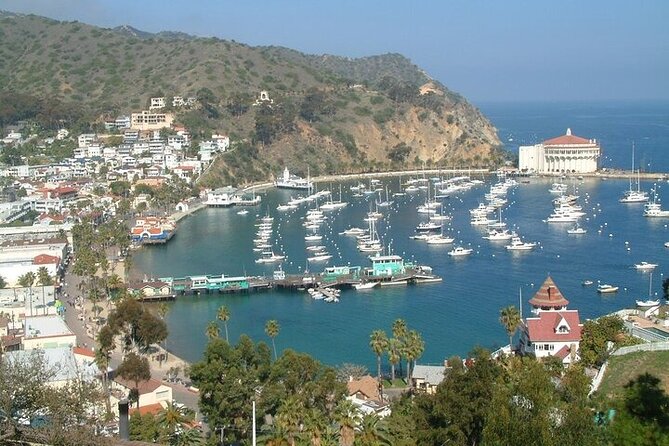 15 Minute Semi-Submarine Tour of Catalina Island From Avalon - Target Audience