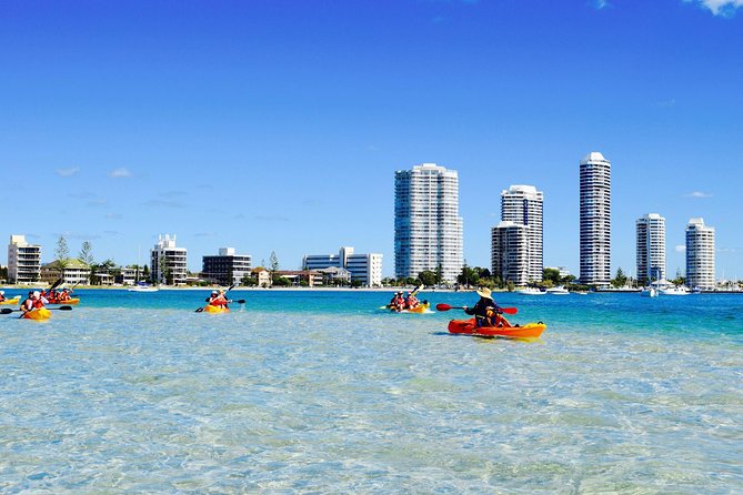 2.5hr Gold Coast Kayaking & Snorkelling Tour - Customer Reviews and Experiences