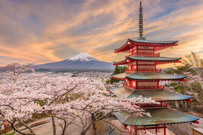 2 Day Mount Fuji and Tokyo Tour by Private Car or Wagon - Tour Guides and Local Experts