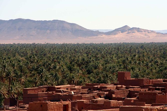 2 Days 1 Night Amazing Zagora Desert Tour From Marrakech - Tour Experience and Logistics