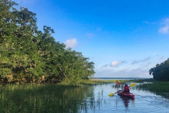 2-Hour Guided Kayak Nature Tour of Hilton Head - Recommendations