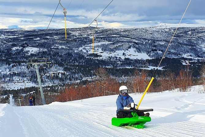 2-Hour Racing Toboggan at Dagali Fjellpark Near Geilo in Norway - Customer Reviews