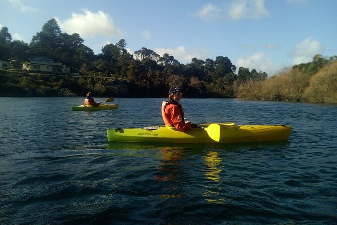2-Hour Waikato River Guided Kayak Trip From Taupo - Additional Information