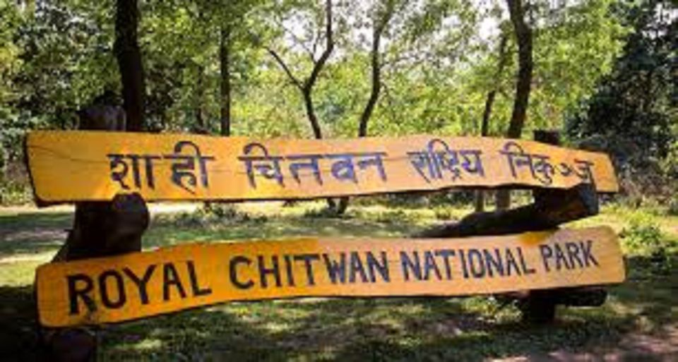 2 N 3 Days Chitwan Tour Package From Pokhara or Kathmandu - Last Words