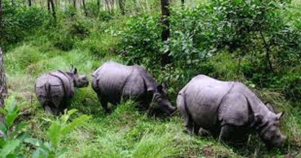 2 Night 3 Days Chitwan National Park Tour From Kathmandu - Overview of Chitwan National Park