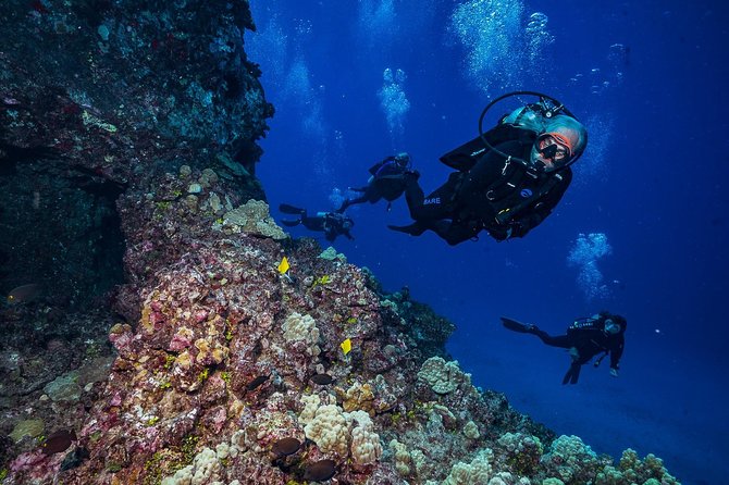 2 Tank Lanai Cathedral Dive - Crew Highlights