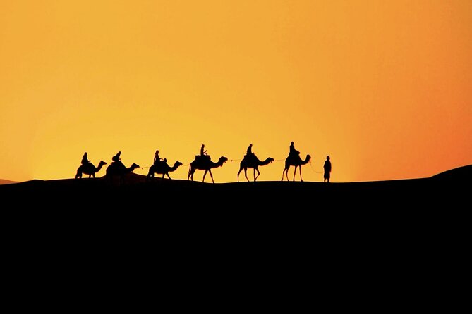 3-Day Desert Tour Marrakech to Fes via Merzouga - Common questions