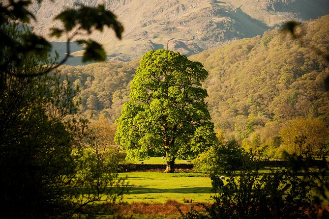 3-Day Lake District Explorer Small-Group Tour From Edinburgh - Common questions