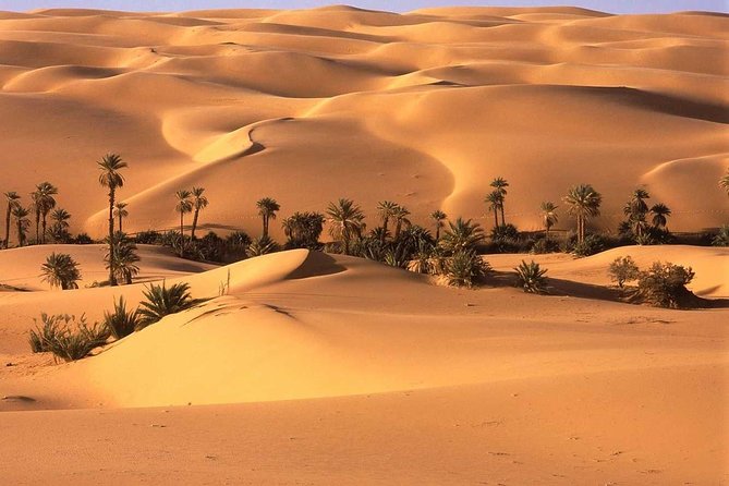 3-Day Sahara Desert To Merzouga From Marrakech - Highlights of the Sahara Tour