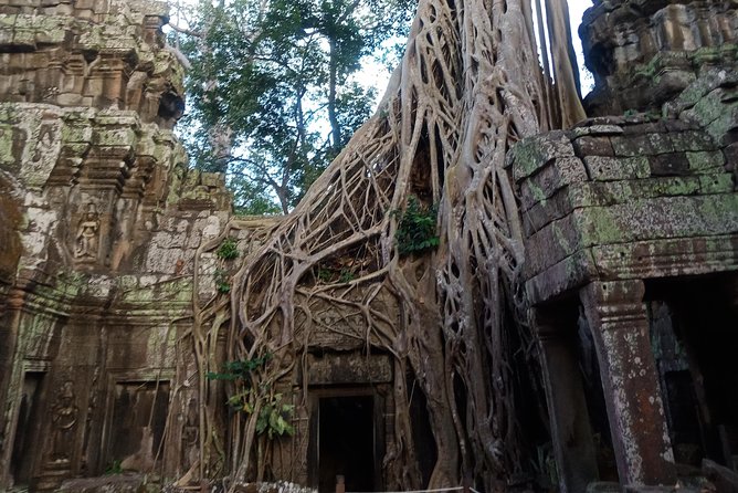 3 Days Angkor Temple Tours Floating Village From Dawn To Dusk - Cultural Immersion Activities