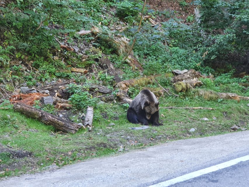 3 Days Private Guided Tour Including Transfagarasan Highway - Last Words