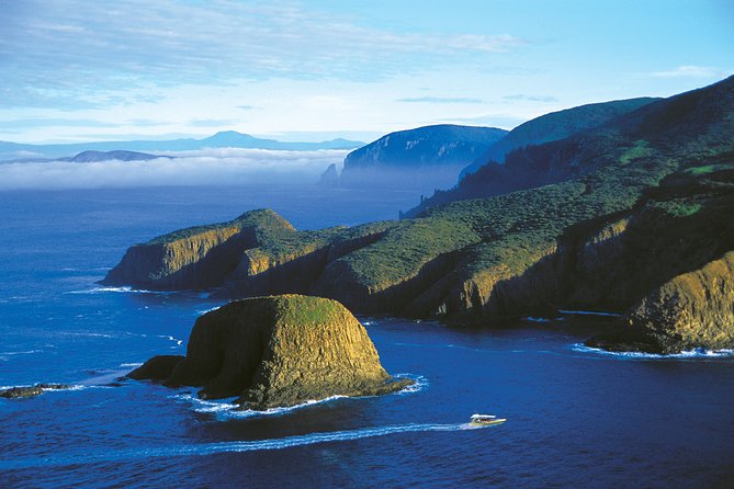 3-Hour Bruny Island Cruise From Adventure Bay, Bruny Island - Last Words