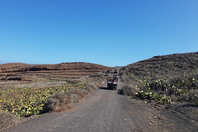 3-Hour Buggy Tour From Costa Teguise - Concerns and Recommendations