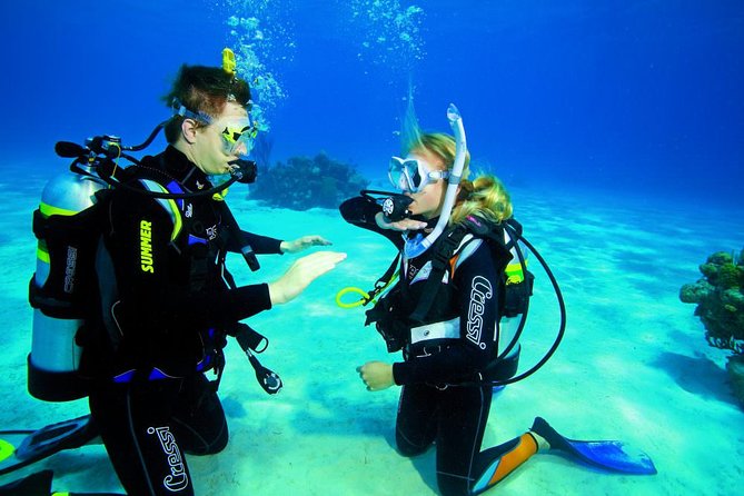 3-Hour Guided PADI Scuba Diving Experience in Tenerife - Additional Information