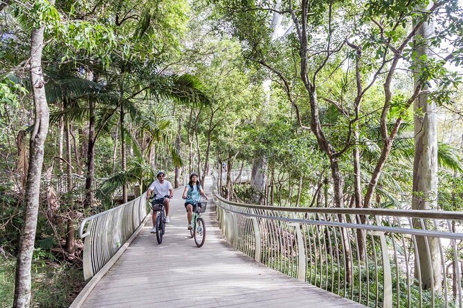 3-Hour Noosa Explorer E-Bike Tour - Safety Precautions