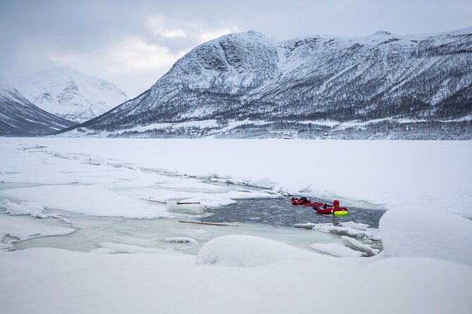 3-Hour Shared Arctic Morning Floating Experience in Norway - Pricing and Booking Information