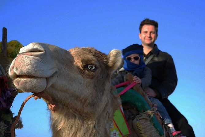 3 Hours Ride on Camel at Sunset - Last Words