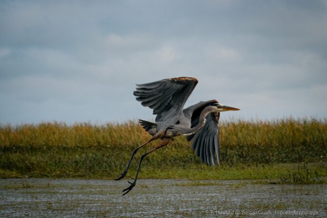 30-Minute Airboat Ride Near Orlando - Directions to the Airboat Ride