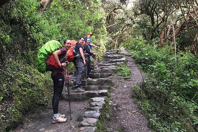 4-Day Trek to Machu Picchu Through the Inca Trail - Traveler Reviews and Recommendations