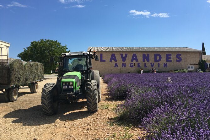 4-Hour Lavender Fields Tour in Valensole From Aix-En-Provence - Common questions