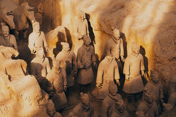 4-Hour Private Xian Tour to Terracotta Warriors With Airport Transfer Option - Viator Terms and References