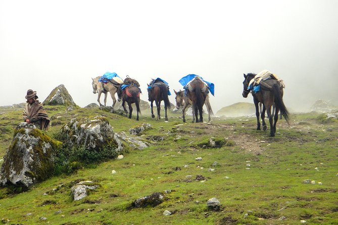 5-Day All-Inclusive Salkantay Trek To Machu Picchu - Essential Information for Travelers