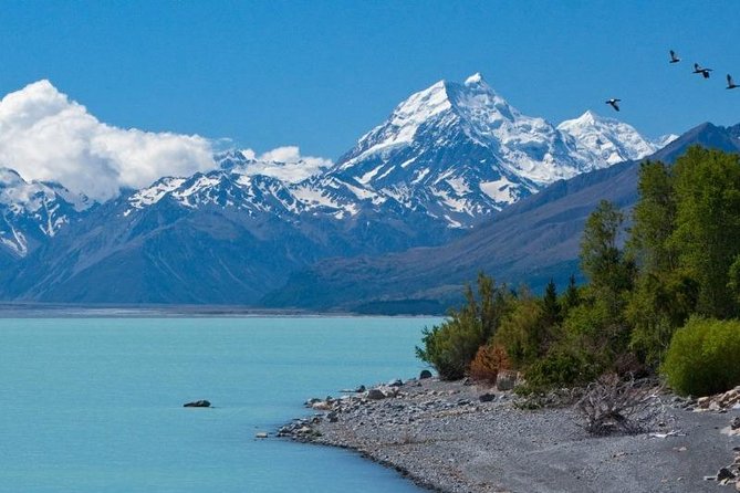 5-Day South Island Tour From Christchurch - Pricing Information