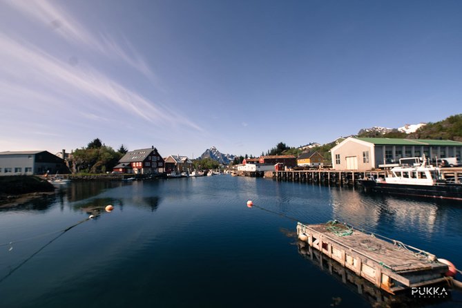 5 Highlights Of Lofoten From Svolvær - Alternative Destinations and Sightseeing